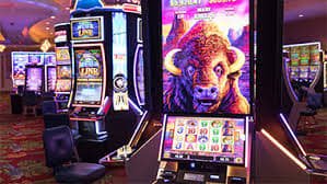 1xx bet